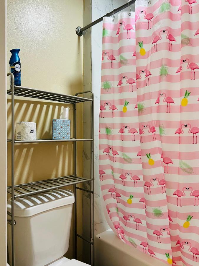 Apartment Near Tpa Airport Τάμπα Εξωτερικό φωτογραφία
